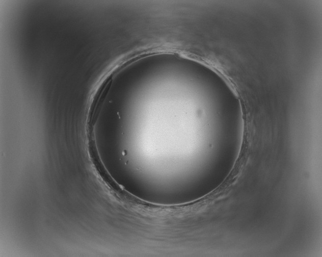 X0000071800007200606301213