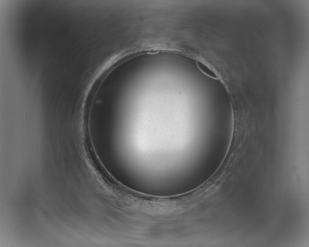 X0000071800008200606301213