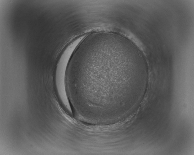 X0000071800009200606301213