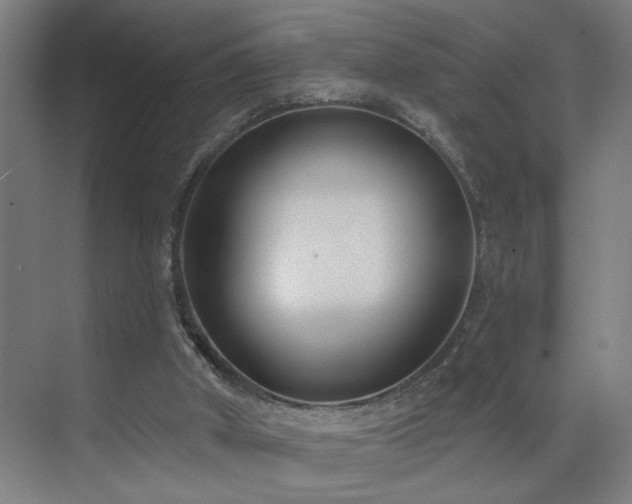 X0000071800010200606301213