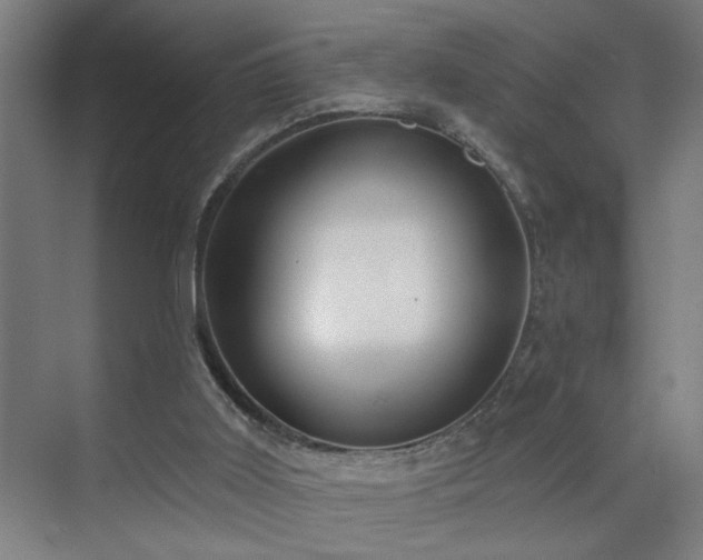 X0000071800011200606301213