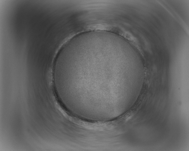 X0000071800012200606301213