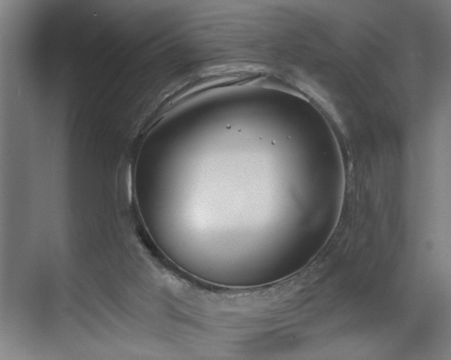 X0000071800013200606301213