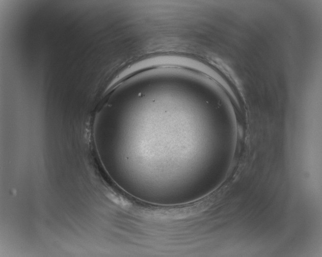 X0000071800017200606301213