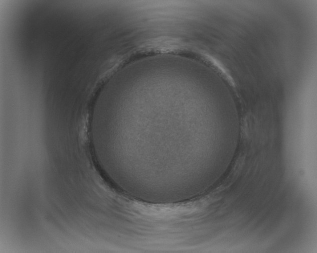 X0000071800018200606301213