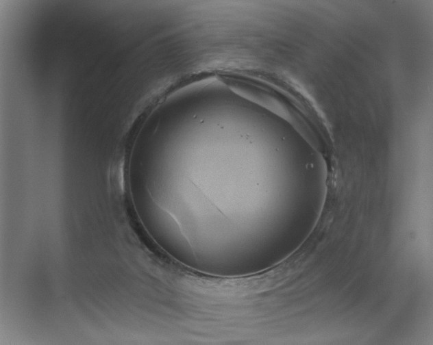 X0000071800019200606301213