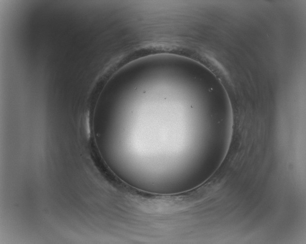 X0000071800020200606301213