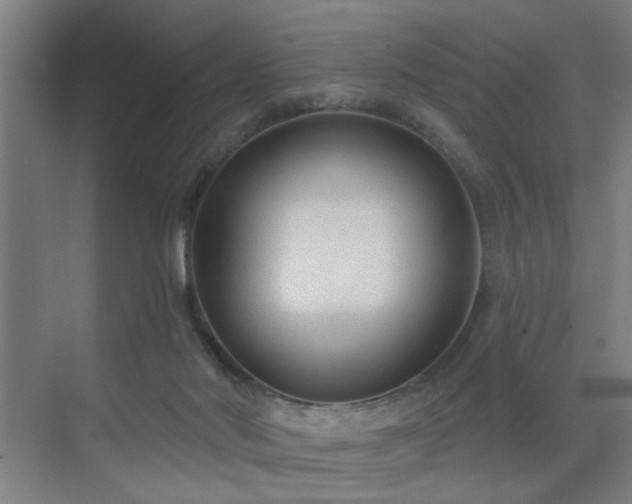 X0000071800022200606301213