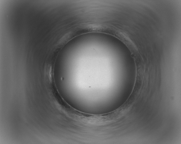 X0000071800024200606301213