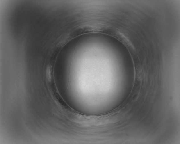 X0000071800026200606301213