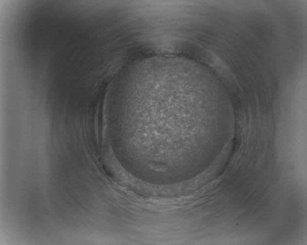 X0000071800029200606301212