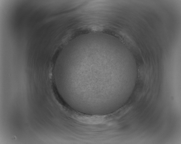 X0000071800032200606301212