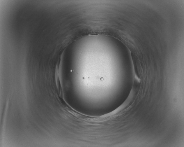 X0000071800033200606301212