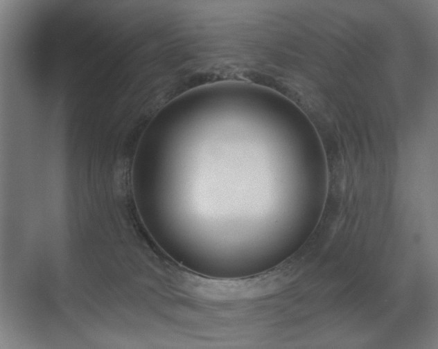 X0000071800034200606301212