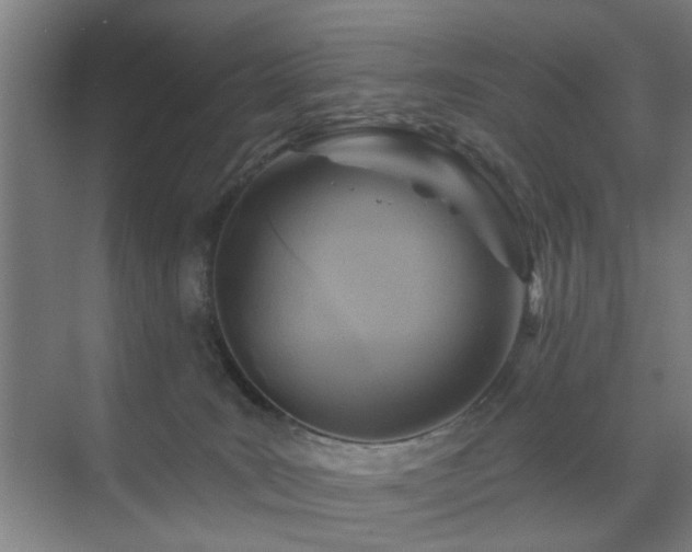 X0000071800035200606301212