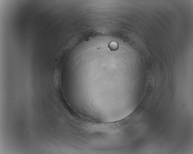 X0000071800036200606301212