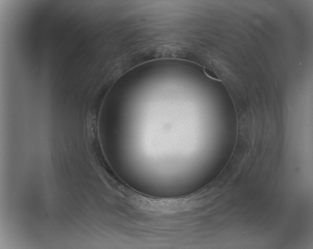 X0000071800038200606301212