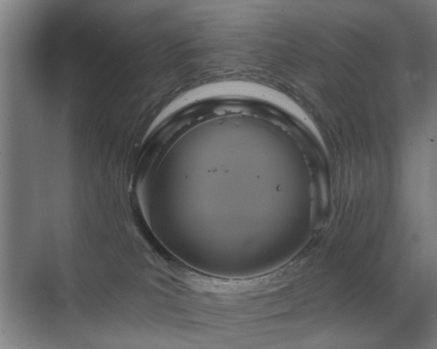 X0000071800039200606301212