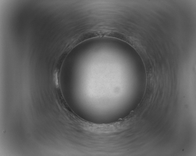 X0000071800042200606301212