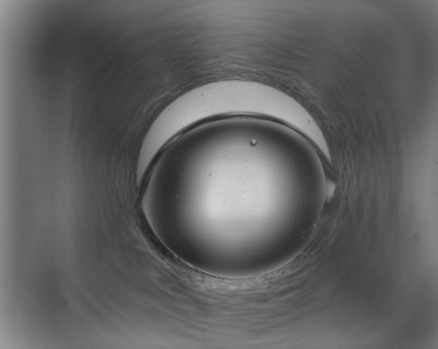 X0000071800043200606301212