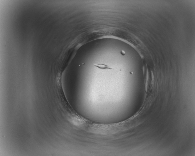 X0000071800045200606301212