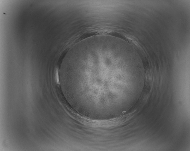 X0000071800046200606301212