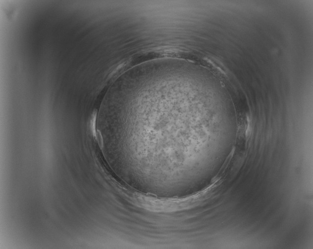 X0000071800047200606301212