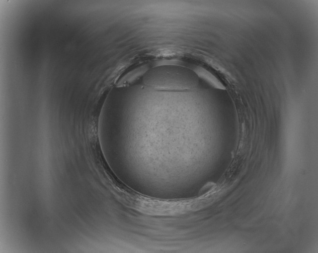 X0000071800048200606301212