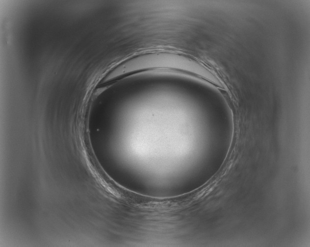 X0000071800049200606301211