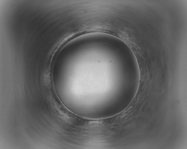 X0000071800050200606301211