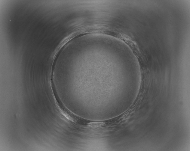 X0000071800051200606301211