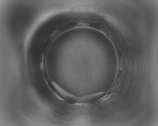 X0000071800052200606301211