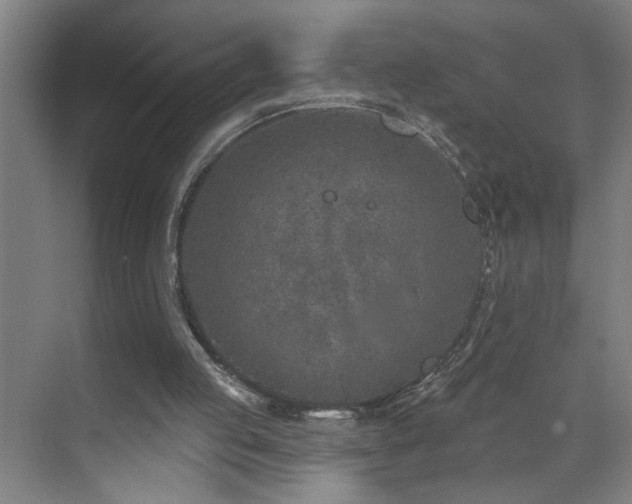 X0000071800053200606301211