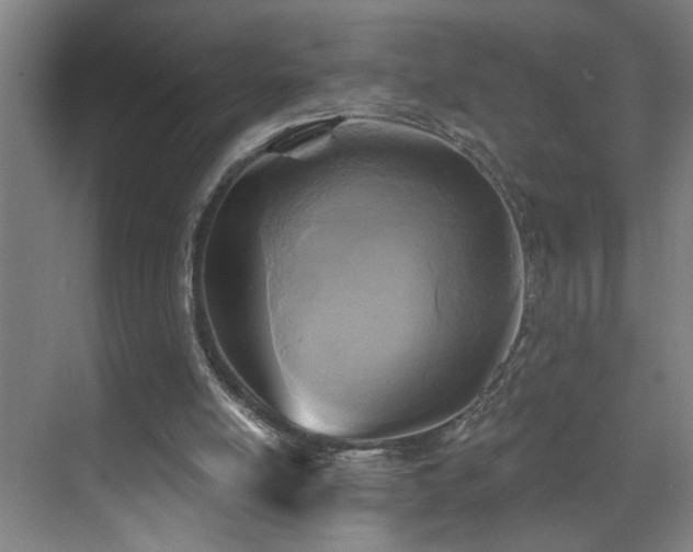 X0000071800054200606301211