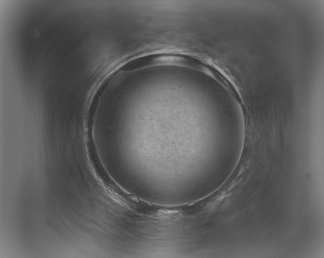 X0000071800055200606301211