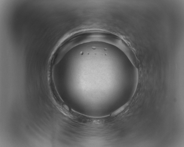 X0000071800056200606301211