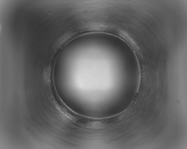 X0000071800058200606301212