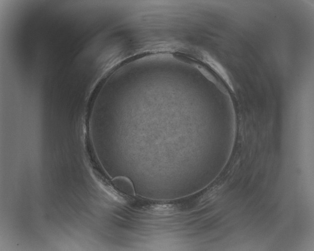 X0000071800059200606301212