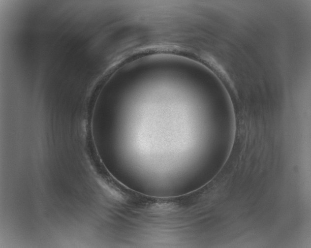 X0000071800063200606301212