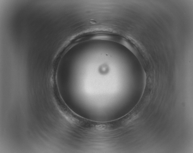 X0000071800064200606301212