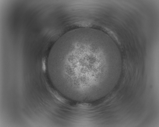 X0000071800069200606301212