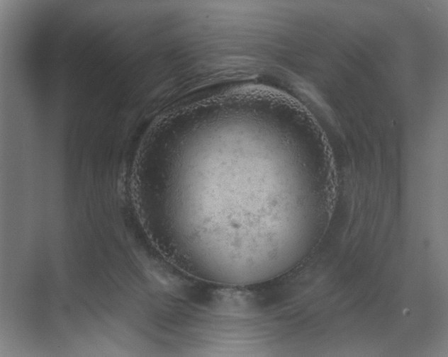 X0000071800073200606301212