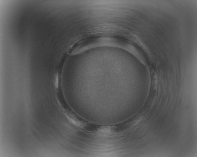 X0000071800076200606301212