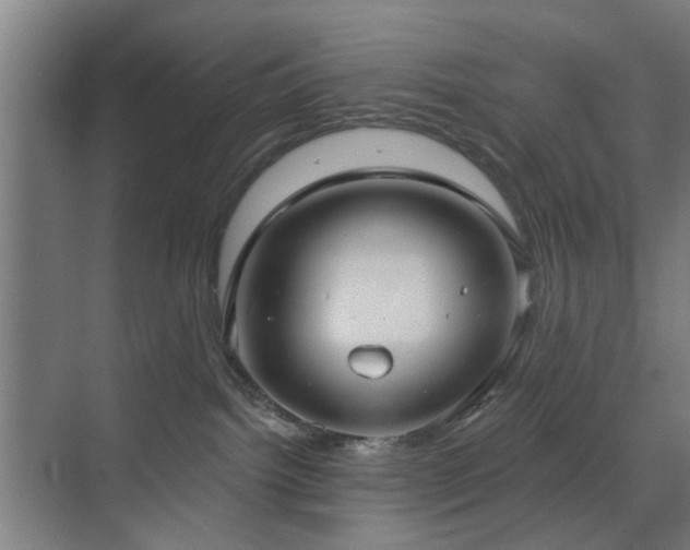 X0000071800092200606301212