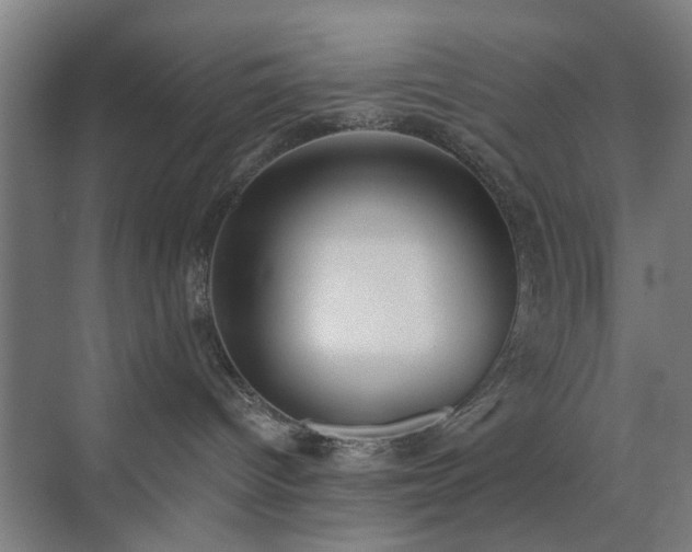 X0000071800096200606301212