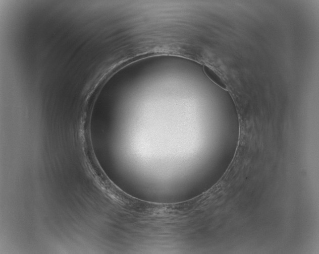 X0000071800098200606301211