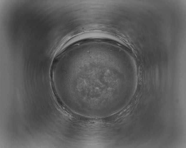 X0000071800099200606301211