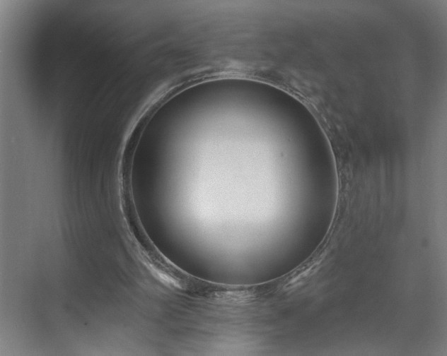 X0000071800102200606301211