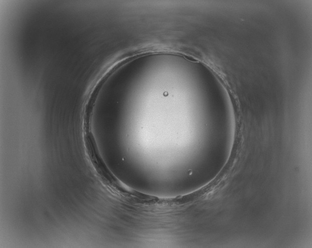 X0000071800103200606301211