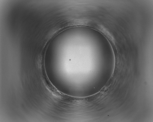 X0000071800107200606301211